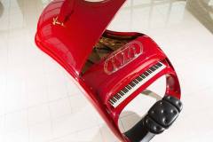 schimmel1